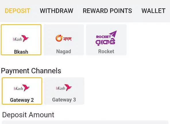 betvisa bd com app payment options for betvisa bd app deposit methods how to deposit on betvisa in bangladesh step 3