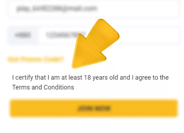 betvisa bd com registration how to register at betvisa step 4